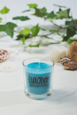 ΦΥΤΙΚΟ ΑΡΩΜΑΤΙΚΟ ΚΕΡΙ ΚΟΚΟΦΟΙΝΙΚΑ 165gr ΤΗΣ ΣΕΙΡΑΣ COCTAIL ME ΑΡΩΜΑ AEGEAN BREEZE ΔΙΑΡΚΕΙΑΣ ΚΑΥΣΕΩΣ 48 ΩΡΩΝ