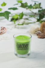 ΦΥΤΙΚΟ ΑΡΩΜΑΤΙΚΟ ΚΕΡΙ ΚΟΚΟΦΟΙΝΙΚΑ 165gr ΤΗΣ ΣΕΙΡΑΣ COCTAIL ME ΑΡΩΜΑ ΕΛΛΗΝΙΚΗ ΜΕΝΤΑ(MENTAEL) ΔΙΑΡΚΕΙΑΣ ΚΑΥΣΕΩΣ 48 ΩΡΩΝ