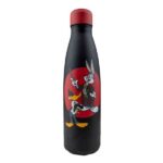 ΘΕΡΜΟΣ METALLIC BOTTLE HOT & COLD 500ml WARNER BROS 100th GRYFFINDOR LOONEY TUNES